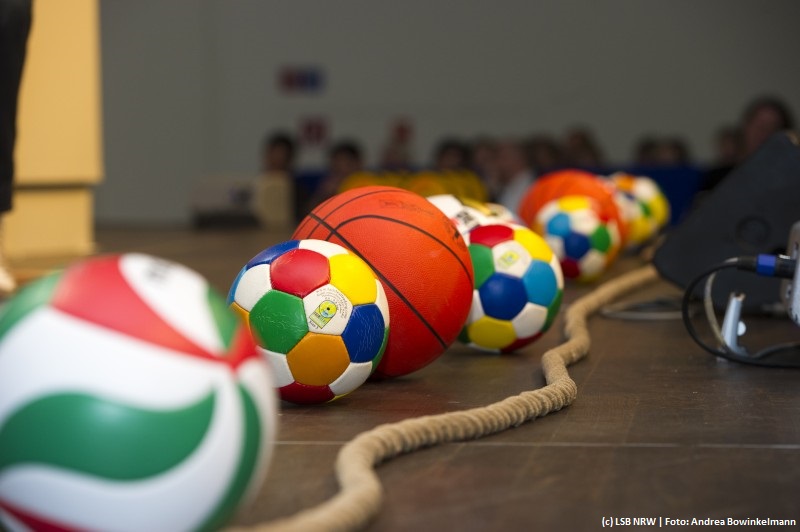Das Bild zeigt verschiedene Bälle wie z.B. einen Volleyball oder Basketball